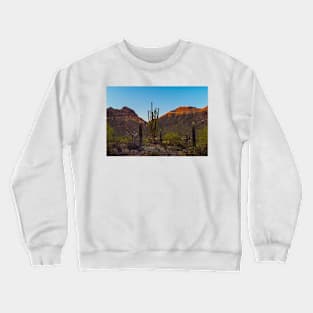 Cacti Saguaro Crewneck Sweatshirt